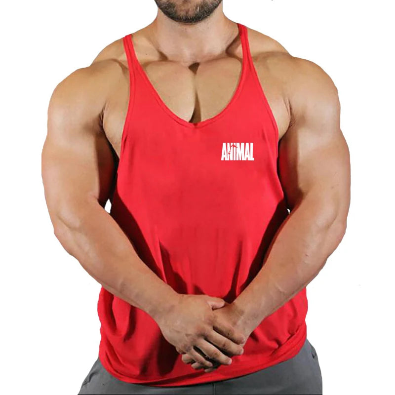 vimg_11