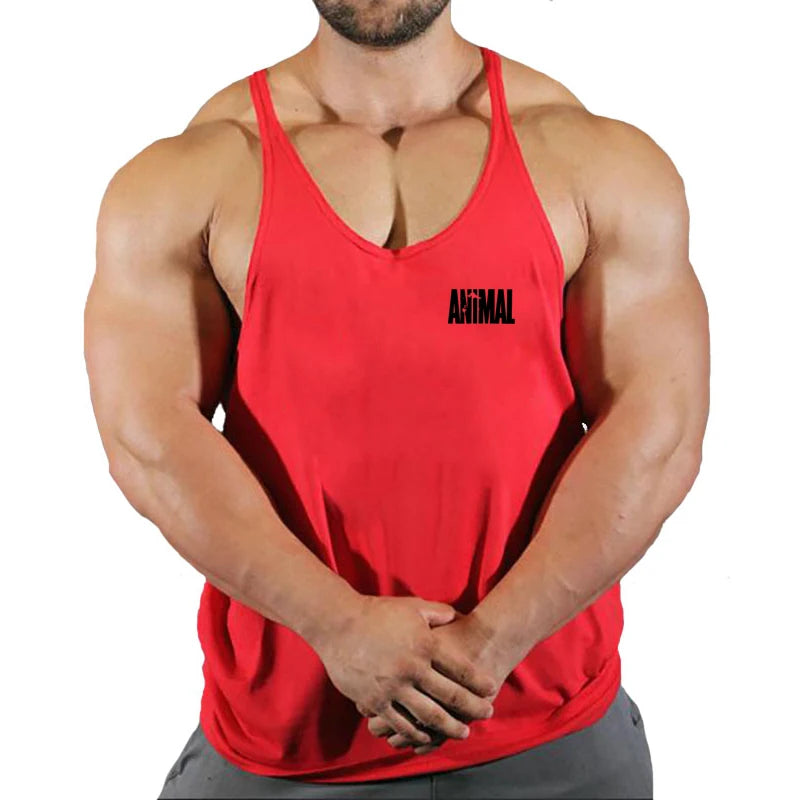 vimg_10