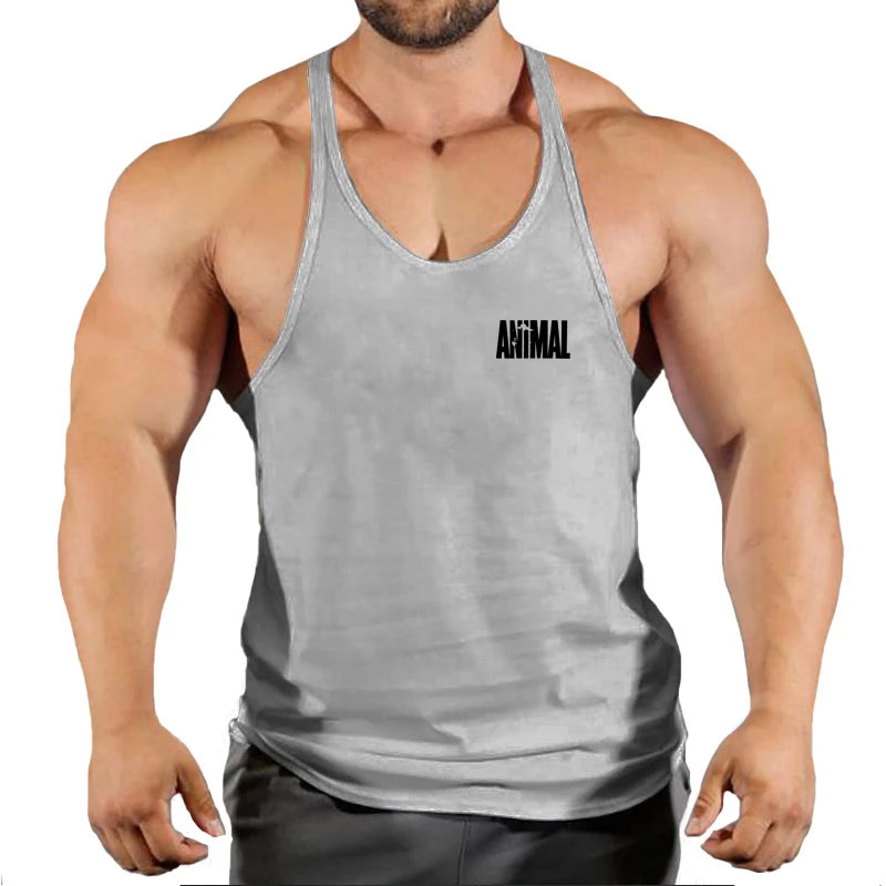 vimg_15